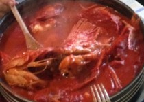 Scorfano di Angelo - Angelo's schorpioenvis